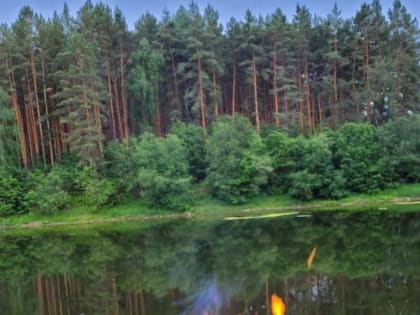 В Бугульме облачно, без осадков