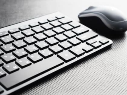 Рослесхоз разработал XSD-схемы для оформления отвода и таксации лесосек в электронном виде