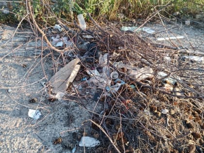 «Обманули всех администраторы 90-х»: казанский поселок все еще живет с трупами кур