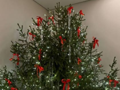 Отмечаем старый Новый год и советуем, как правильно утилизировать елку после праздников!