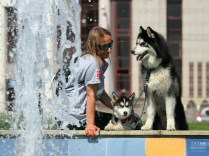 Температуры в последнюю декаду апреля в Татарстане будут на 5 градусов выше нормы