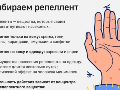 Как правильно выбирать и применять репелленты