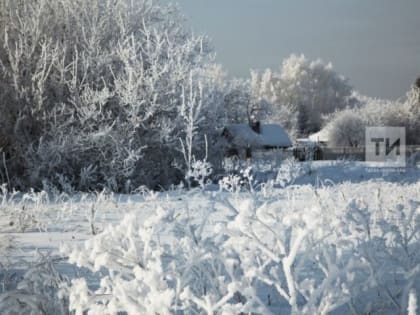 Прогноз погоды на 2 января 2024 года