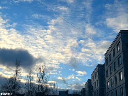 Новые инициативы по улучшению здоровья населения