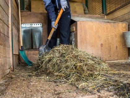 Срок отправки уведомлений о признании навоза побочным продуктом животноводства истекает 30 апреля