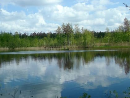 В Татарстане на расчистку водоемов выделят 276 млн рублей