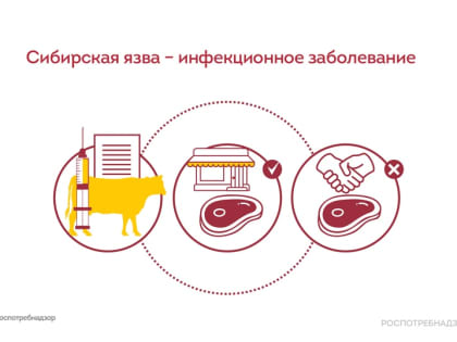 Как избежать сибирской язвы?