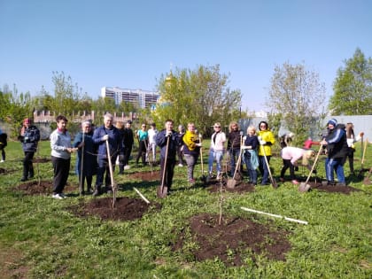 Челны присоединились к акции по высадке деревьев «Сад памяти»