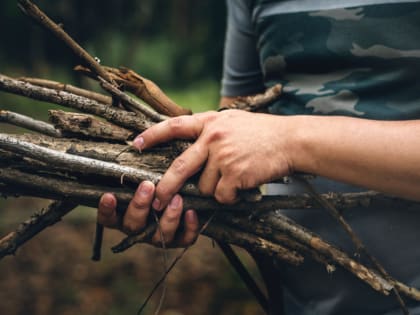 Министерство лесного хозяйства РТ напоминает о правилах сбора валежника