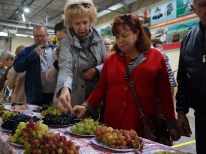 Выставка винограда "Казанская лоза" в Казанском ГАУ