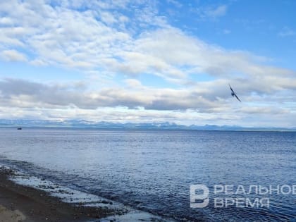 Роспотребнадзор усилит контроль качества рыбы и морепродуктов в Черном море