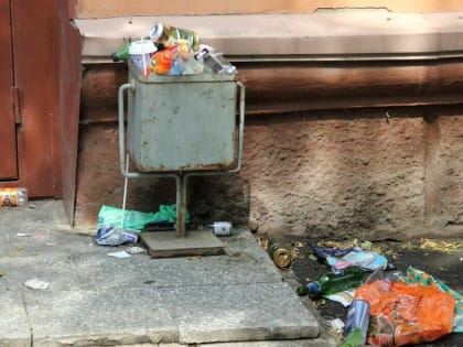 Казанцы возмутились роющимся в мусорках детям