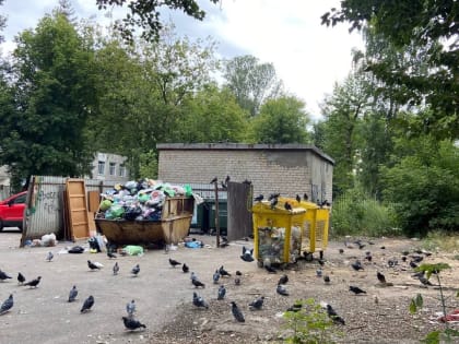 УК «ПЖКХ» прокомментировал жалобы казанцев на вывоз мусора