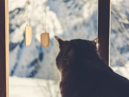 Снежно-морозные сюрпризы ждут Татарстан в начале выходных