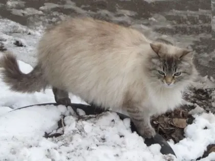 В Казани 29 января обновили температурный рекорд, державшийся с 2002 года