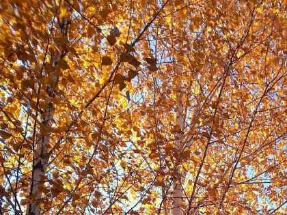 Ждать ли татарстанцам бабье лето