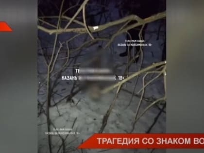 Нападение собак, убийство или злой рок: в Казани расследуют ужасающую гибель мужчины