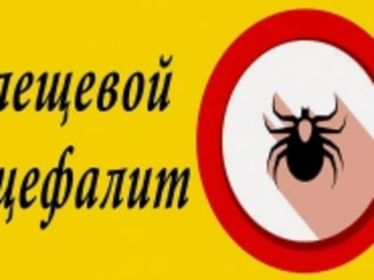 Альметьевцы смогут обратиться на «горячую линию» по профилактике клещевого энцефалита