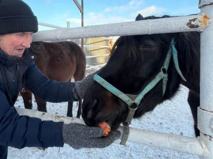 Общение с животными как отдельный вид терапии для пожилых людей