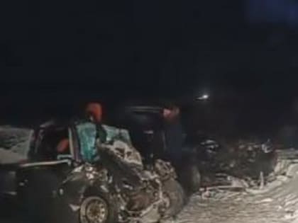 «Были в состоянии клинической смерти»: Две маленькие девочки погибли в страшном ДТП под Нижним Новгородом