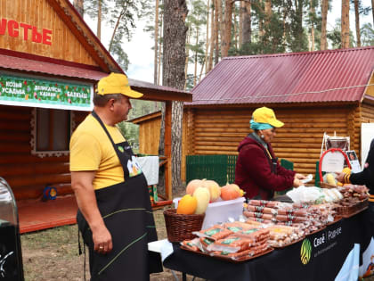 Администрация КирМоса пересчитала число пришедших на гастрофестиваль