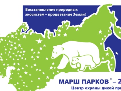 В Татарстане дан старт Международной акции «Марш парков-2023»