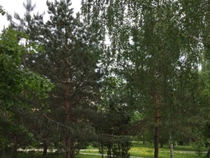 Дирекция парков и скверов Казани хочет обустроить парк на месте «Кырлая»