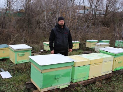 Пчеловод села Верхний Налим Заинского района продолжает дело прадеда