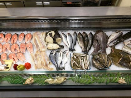 Ученые узнали о рыбе, которая не уступает лососю по пользе - не семга, и не морской язык