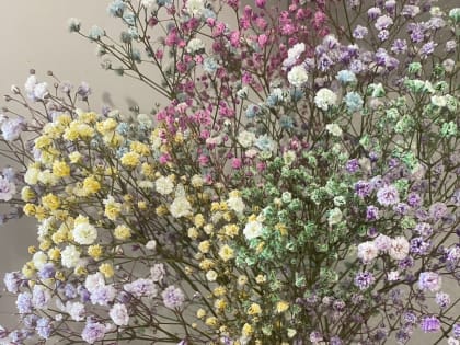 Новогодние салаты: остатки не сладки!