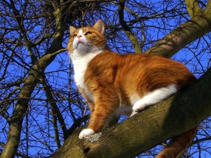 Весна укрепляет позиции: в конце выходных в Татарстане погода порадует теплом