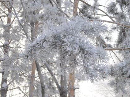 Внимание! Ожидается аномально холодная погода