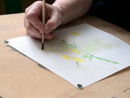 На конкурс «Саумы, Казан!» поступило более 200 художественных работ