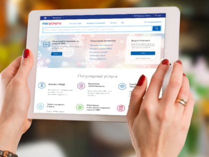 Итоги предоставления государственных услуг Департаментом надзора и контроля в сфере образования Министерства образования и науки Республики Татарстан за 2024 год