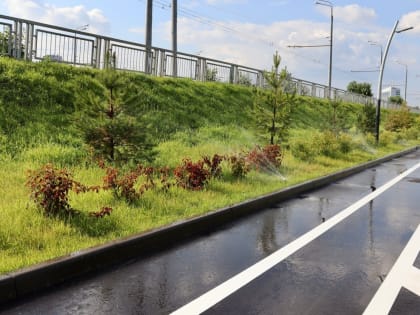 Власти продолжают бороться с системой автополива на Кремлевской дамбе