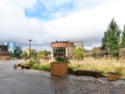 В экзотариуме казанского зооботсада появились капский варан и поясохвостый геккон