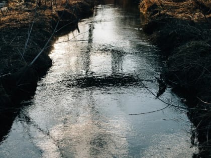 В Татарстане пропавшую без вести 17-летнюю девушку нашли утопленной в реке
