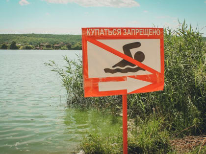 Казанцев предупредят о запрете плавания в парке Победы