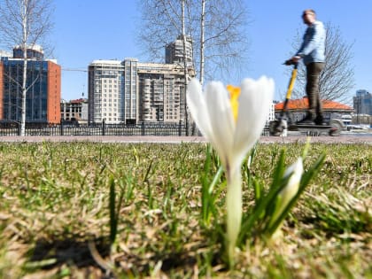 Зря радовались теплому марту: Роман Вильфанд заявил о возвращении трескучих морозов — свежий прогноз на несколько дней