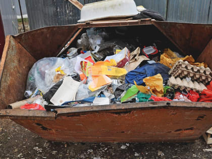 Татарстанцы направили свыше 5 тысяч жалоб на переполненные мусорки с начала 2023 года