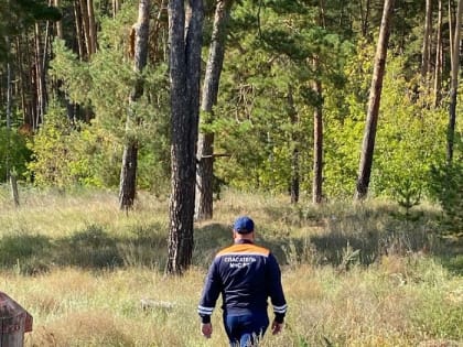 В Татарстане спасатели искали двух грибников-пенсионерок, которые уже пили чай дома