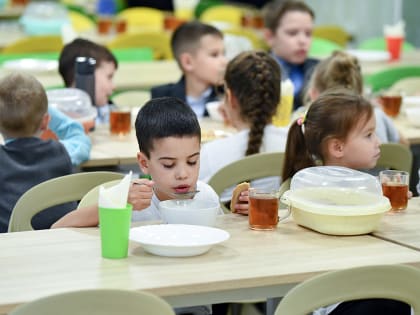 В Татарстане открылась горячая линия по вопросам питания в школах