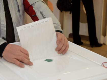 Результаты дополнительных выборов депутатов  в сельских поселениях