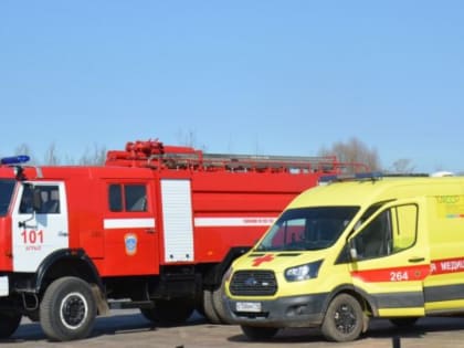 В Пугачево начались работы по утилизации взрывоопасных предметов