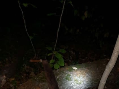 В Татарстане сутки ищут пропавшего мужчину с деменцией