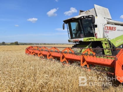 «Убытки могут составить 5 млрд рублей» — как Татарстан переносит экстремальную жару