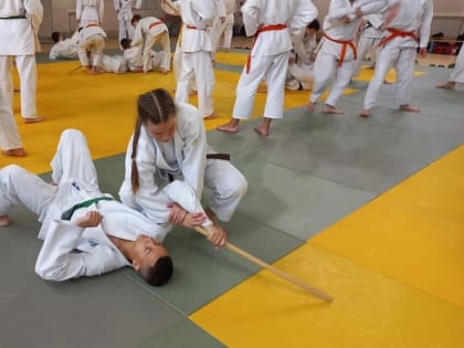 Васильевские спортсмены - участники Семинара боевых искусств