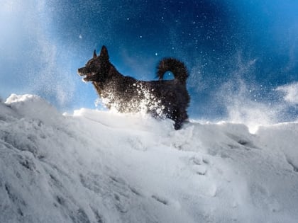 Зима разошлась: морозы в Татарстане не отступят, а усилятся