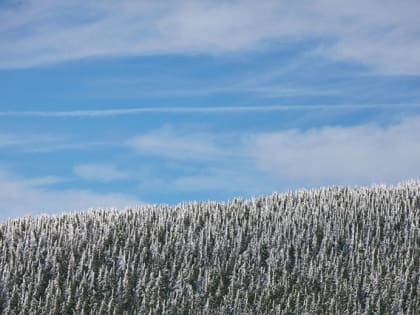 По-настоящему сильные морозы до -49  градусов анонсировал Гидрометцентр