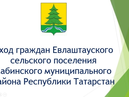 Сход граждан в Евлаштауском сельском поселении